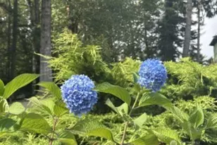 549 Diebert Rd, Longview, WA 98632 - Photo 36