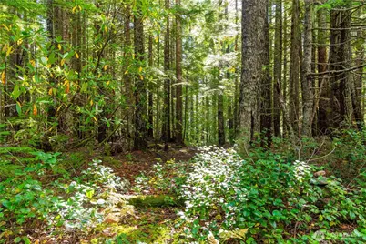 1350 N Hilltop Loop Road, Hoodsport, WA 98548 - Photo 6
