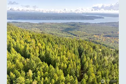 1350 N Hilltop Loop Road, Hoodsport, WA 98548 - Photo 28