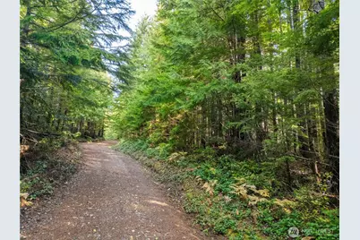 1350 N Hilltop Loop Road, Hoodsport, WA 98548 - Photo 4