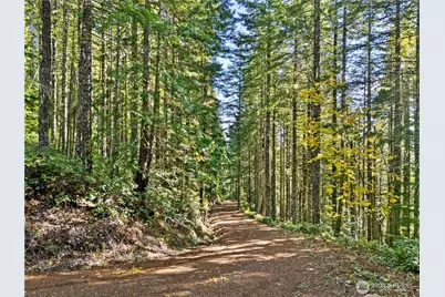 1350 N Hilltop Loop Road, Hoodsport, WA 98548 - Photo 20