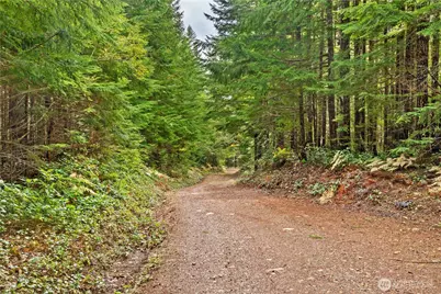 1350 N Hilltop Loop Road, Hoodsport, WA 98548 - Photo 16