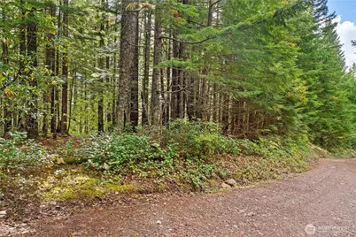 1350 N Hilltop Loop Road, Hoodsport, WA 98548 - Photo 18
