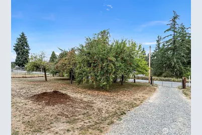 7804 280th Street S, Roy, WA 98580 - Photo 4