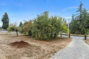 7804 280th St S, Roy, WA 98580 - Photo 4