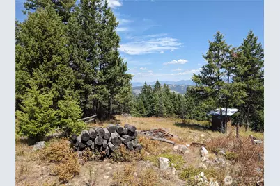 0 Mule Deer Road, Republic, WA 99166 - Photo 10