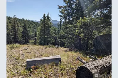 0 Mule Deer Road, Republic, WA 99166 - Photo 16