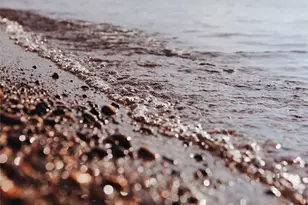 2591 Taft Dr, Lummi Island, WA 98262 - Photo 40