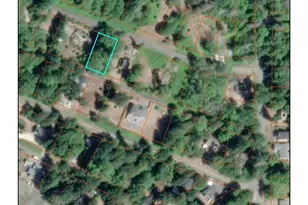 390 E Panorama Dr, Shelton, WA 98584 - Photo 12