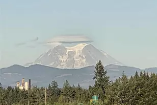 284 W Hale Rd, Winlock, WA 98596 - Photo 22