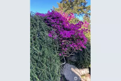 6423 Sand Point Way NE, Seattle, WA 98115 - Photo 30