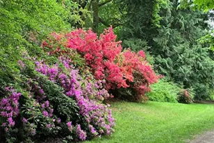 6423 Sand Point Way NE, Seattle, WA 98115 - Photo 32