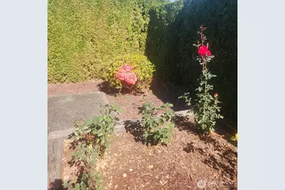 1402 22nd Street NE #503, Auburn, WA 98002 - Photo 8