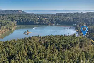 227 De Haro Ln, Friday Harbor, WA 98250 - Photo 28