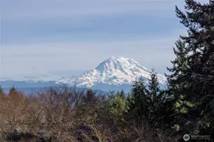 25329 103rd Ave E, Graham, WA 98338 - Photo 40