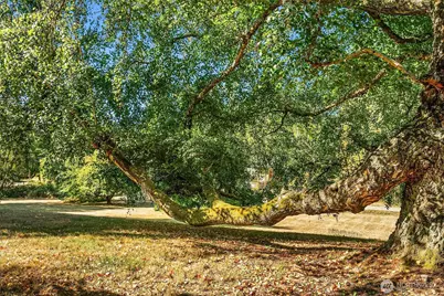 10320 SW Cove Road, Vashon, WA 98070 - Photo 22