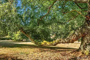 10320 SW Cove Rd, Vashon, WA 98070 - Photo 22