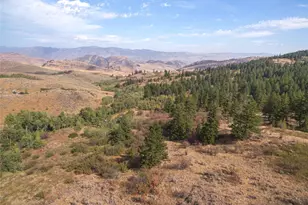 653B Ellemeham Mountain Rd, Oroville, WA 98844 - Photo 24