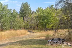 653B Ellemeham Mountain Rd, Oroville, WA 98844 - Photo 16