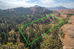 653B Ellemeham Mountain Rd, Oroville, WA 98844 - Photo 6