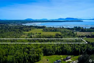 50 Acres Lincoln and Shintaffer Rd, Blaine, WA 98230 - Photo 1