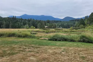 50 Lake Leland Cut-Off Rd, Quilcene, WA 98376 - Photo 6