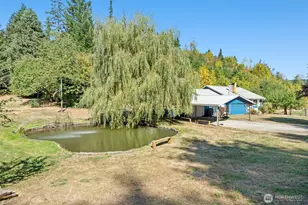 5868 State Hwy 6, Pe Ell, WA 98572 - Photo 4