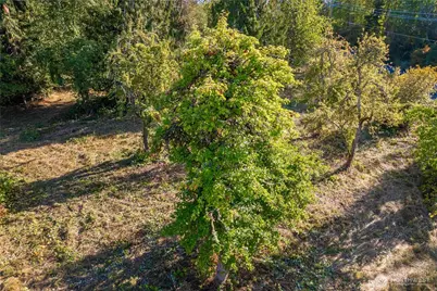 5405 398th Street E, Eatonville, WA 98328 - Photo 8