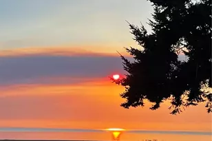 4251 Hollydale Ln, Oak Harbor, WA 98277 - Photo 34