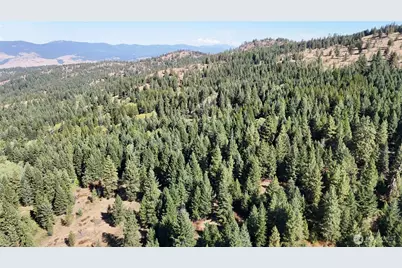 0 Sleepy Hollow Road, Curlew, WA 99118 - Photo 22