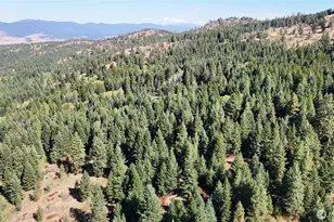 0 Sleepy Hollow Rd, Curlew, WA 99118 - Photo 22