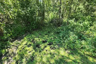 0 Sleepy Hollow Rd, Curlew, WA 99118 - Photo 20