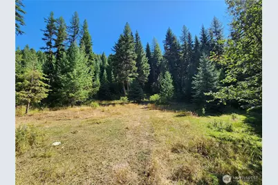 0 Sleepy Hollow Road, Curlew, WA 99118 - Photo 16