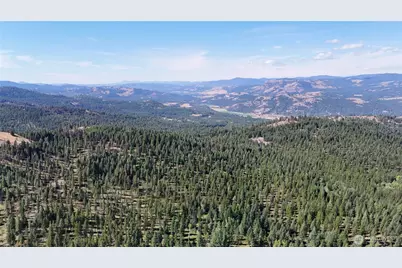 0 Sleepy Hollow Road, Curlew, WA 99118 - Photo 24