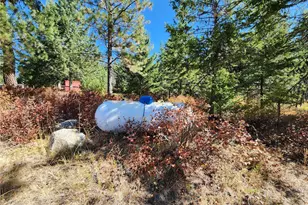 0 Sleepy Hollow Rd, Curlew, WA 99118 - Photo 6