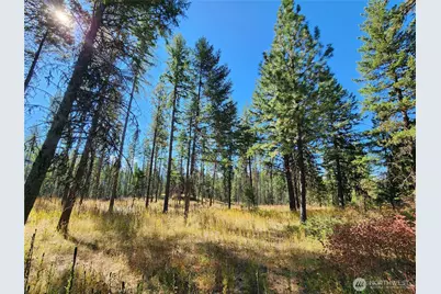 0 Sleepy Hollow Road, Curlew, WA 99118 - Photo 2