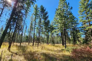 0 Sleepy Hollow Rd, Curlew, WA 99118 - Photo 2