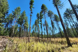 0 Sleepy Hollow Rd, Curlew, WA 99118 - Photo 4