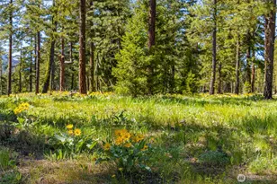 71 Plateau Loop, Cle Elum, WA 98922 - Photo 34