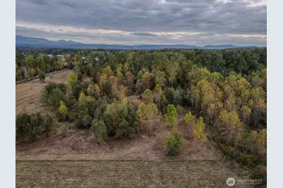 0 Mundy Loss Road E, Buckley, WA 98321 - Photo 28