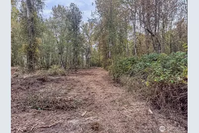 0 Mundy Loss Road E, Buckley, WA 98321 - Photo 24