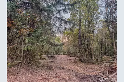 0 Mundy Loss Road E, Buckley, WA 98321 - Photo 20