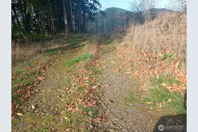 167 Wagner Road, Kelso, WA 98626 - Photo 6