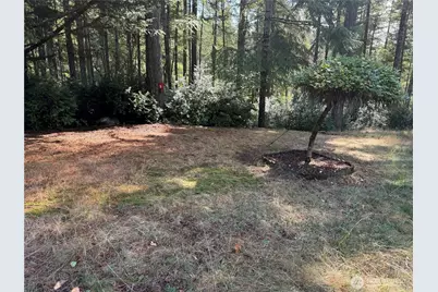 121 E Rhododendron Lane, Union, WA 98592 - Photo 28