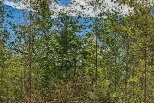 7519 Canyon View Dr, Deming, WA 98244 - Photo 38