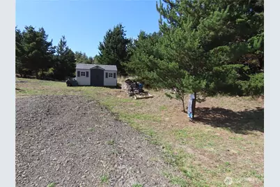 925 State Route 105, Grayland, WA 98547 - Photo 12