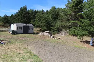 925 State Route 105, Grayland, WA 98547 - Photo 10