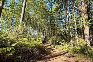 4370 SW Kerbin Ln, Port Orchard, WA 98367 - Photo 38