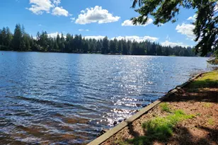 181 E Dabob Rd, Shelton, WA 98584 - Photo 10