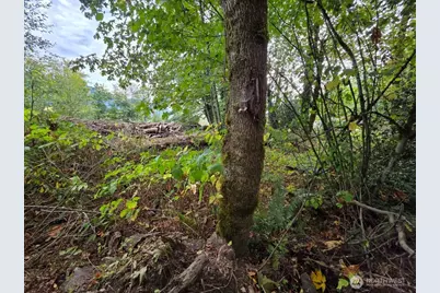 1206 Croft Avenue, Gold Bar, WA 98251 - Photo 2